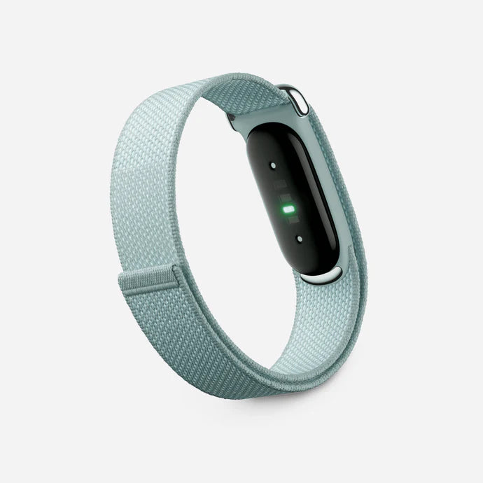 Google Fitbit Air Classic Fog