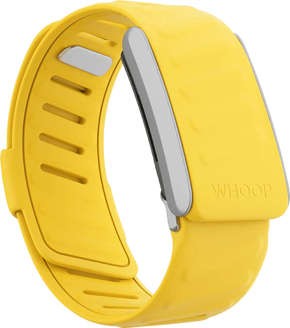 Whoop Flash Sportflex Band Only