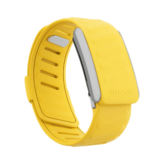 Whoop Flash Sportflex Band Only