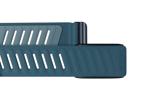 Whoop Dash Sportflex Band Only