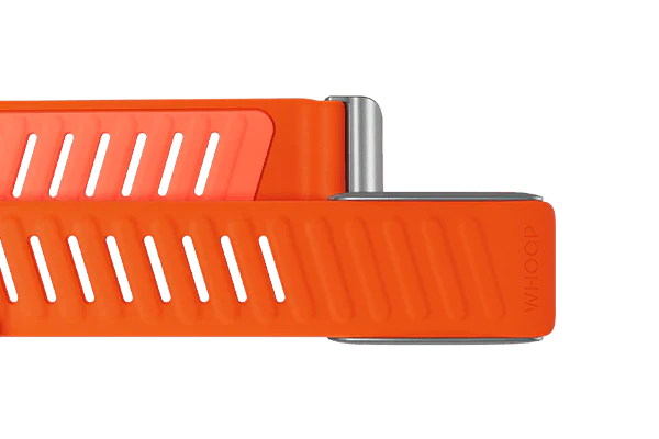 Whoop Surge Sportflex Band Only