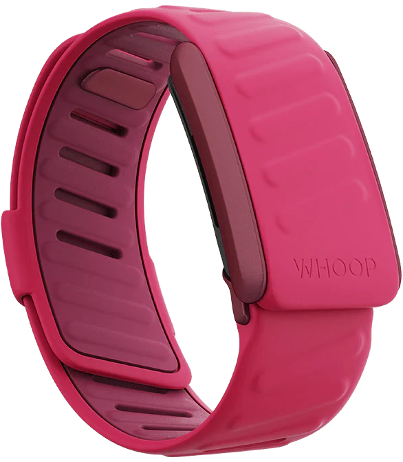 Whoop Pace Sportflex Band Only