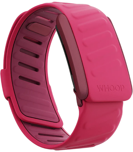 Whoop Pace Sportflex Band Only