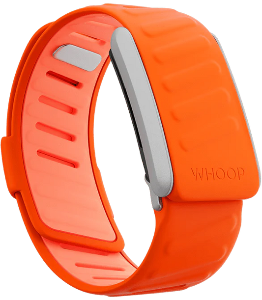 Whoop Surge Sportflex Band Only