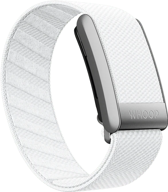 Whoop Chalk Superknit Band Only