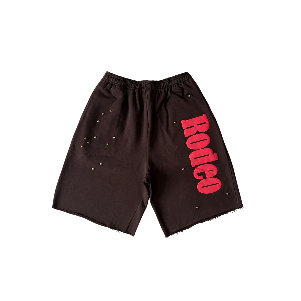 Sp5der Shorts for Men Brown