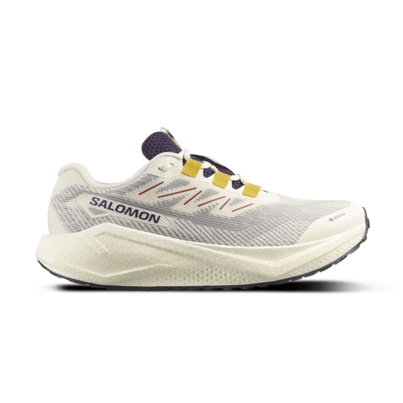 Salomon AERO BLAZE 3 GRVL GORE-TEX Vanilla Ice / Astral Aura — SALOMON | Authentic India