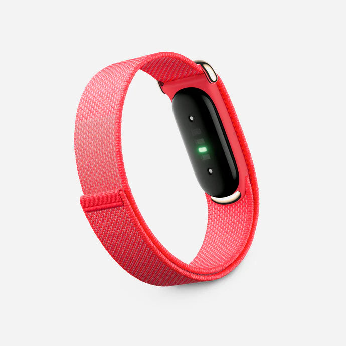 Google Fitbit Air Classic Berry