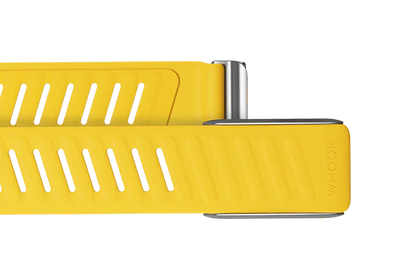 Whoop Flash Sportflex Band Only