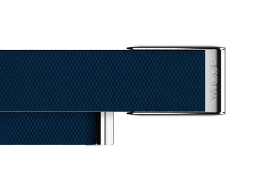 Whoop Niagra Platinum Superknit Luxe Band Only