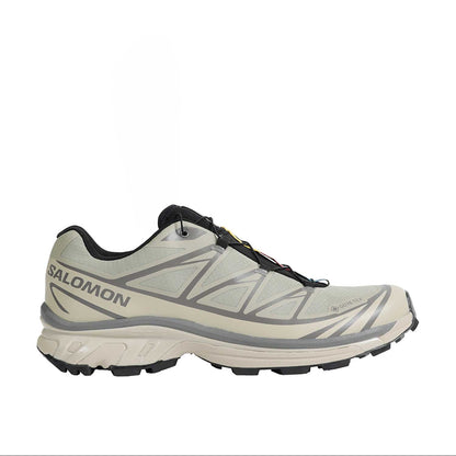 Salomon XT-6 GORE-TEX Grey / Ghost Gray style