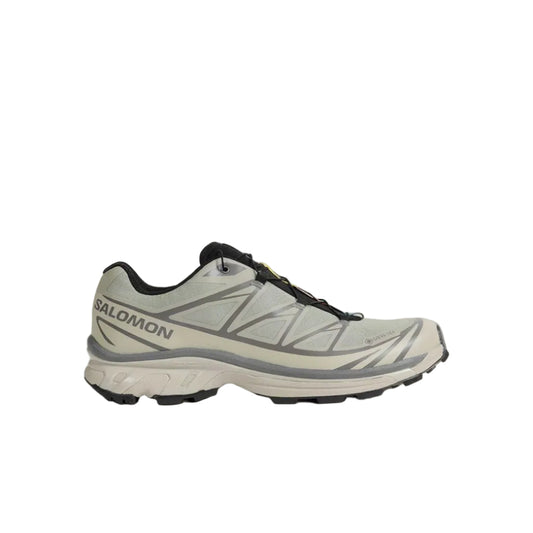 Salomon XT-6 GORE-TEX Grey / Ghost Gray style