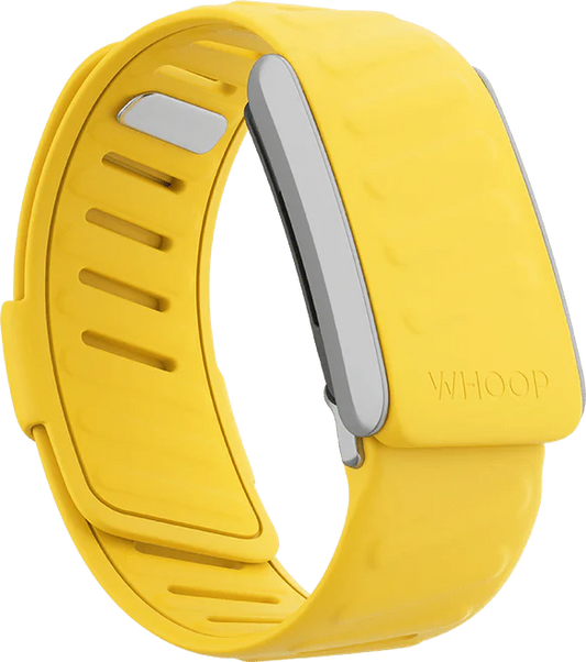 Whoop Flash Sportflex Band Only