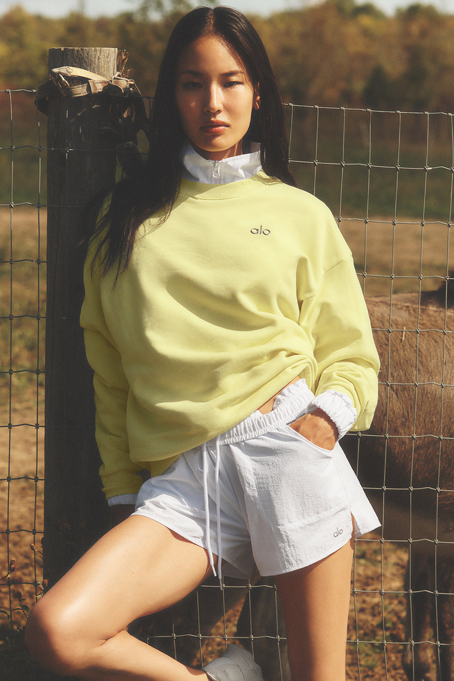 Accolade Crew Neck Pullover - Sunshine