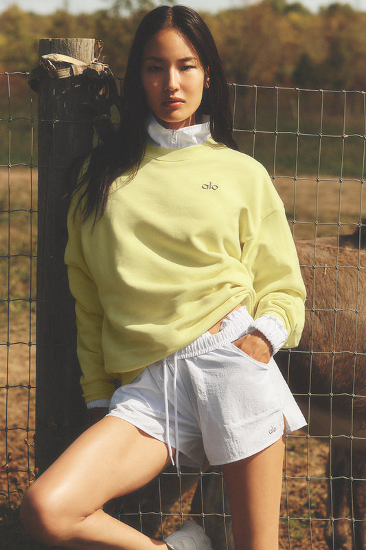 Accolade Crew Neck Pullover - Sunshine