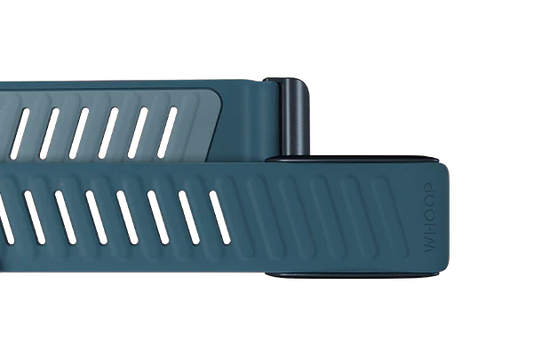 Whoop Dash Sportflex Band Only