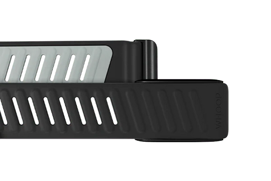 Whoop Force Sportflex Band Only