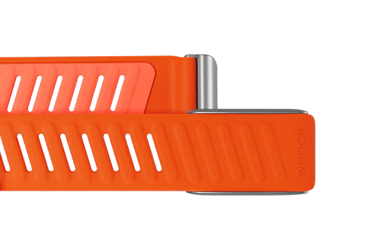 Whoop Surge Sportflex Band Only