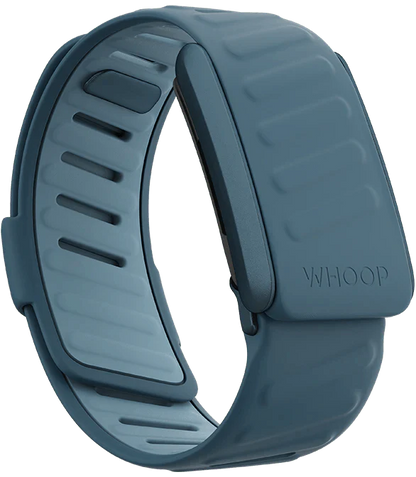 Whoop Dash Sportflex Band Only