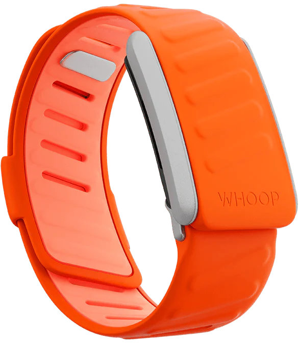 Whoop Surge Sportflex Band Only
