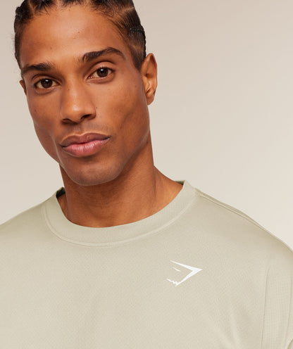 GYMSHARK Washed Pastels T-Shirt Pebble Grey/Wash