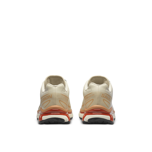 Salomon XT-6 Gore-Tex Almond Milk Soft Clay — SALOMON | Authentic India