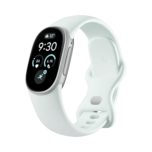 Google Fitbit Edge Classic Satin Silver Aluminum Case / Fog Active Band