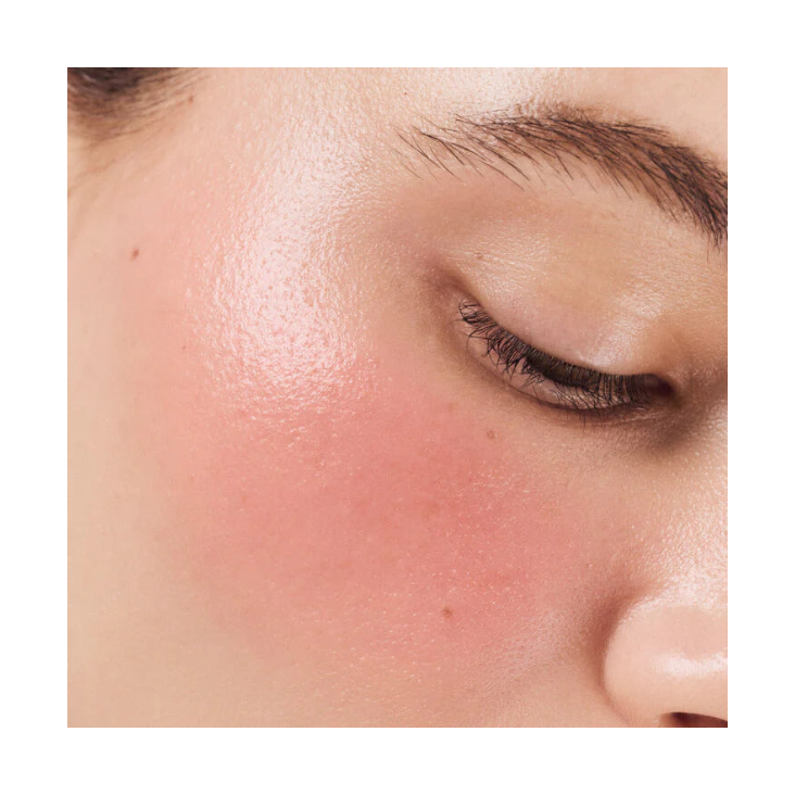 RHODE Pocket Blush "Sprinkle - Warm Pearly Pink" — Aestus Supply | Authentic India